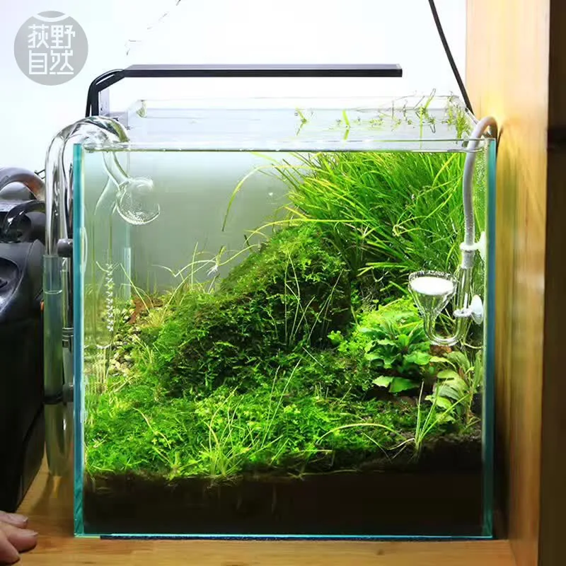 Aquarium Marine Lights - Chihiros série C ADA Style plante