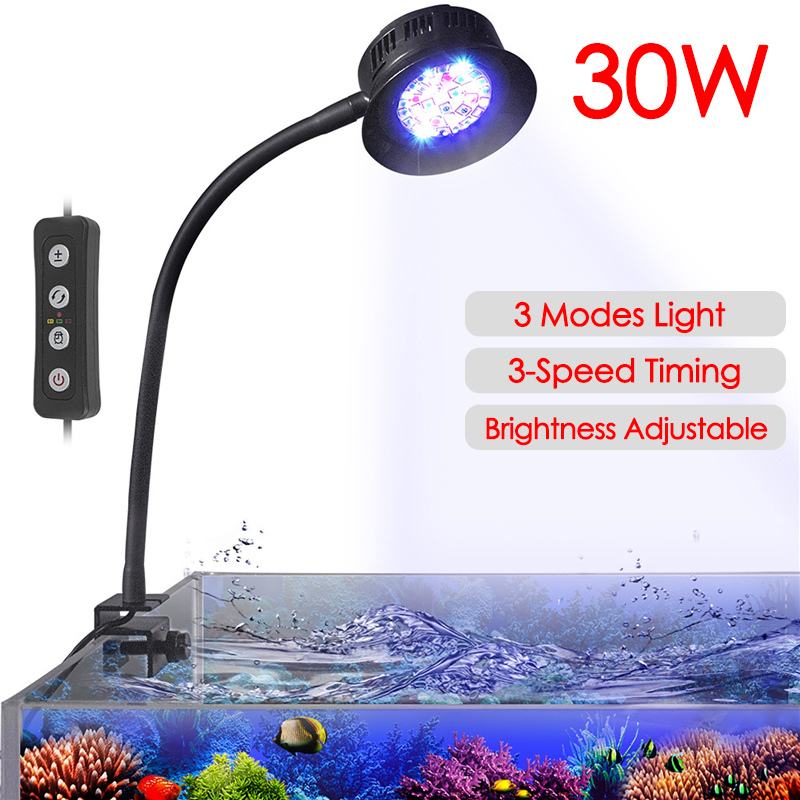 Marine Coral - 30W Aquarium Aquarium eau de mer