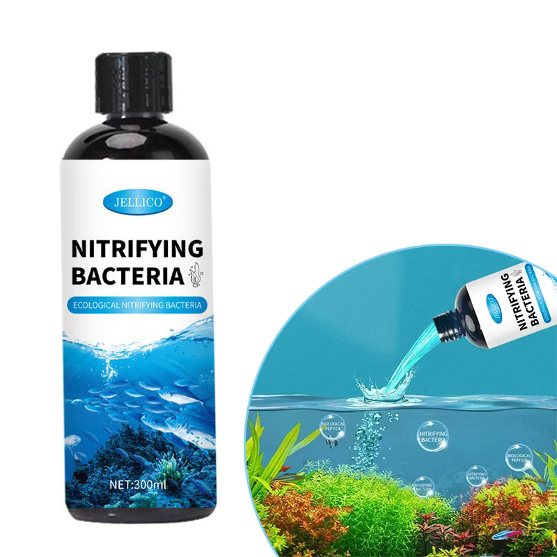 Ocean Aquarium - Purificateur d'eau pour Aquarium liquide, bactéries