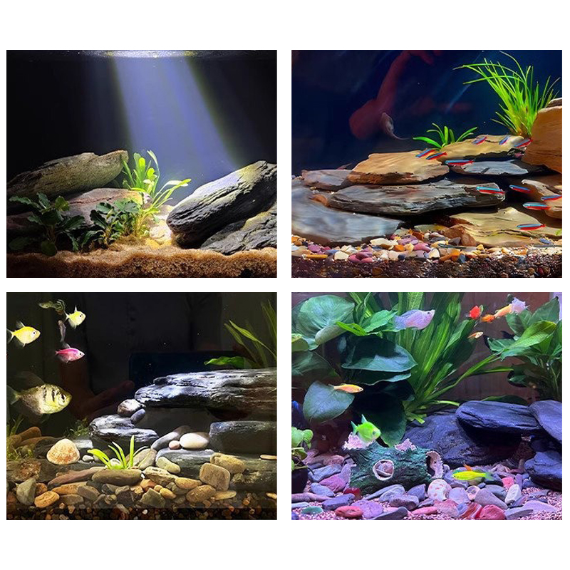 Kit de pierres paysagères pour - Marine Fish Tank avis et prix