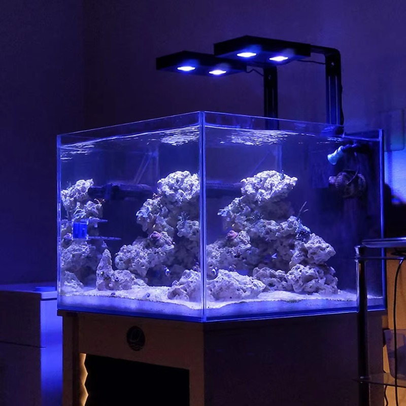 Lampe LED pour aquarium haute  - Reef Lighting avis et prix