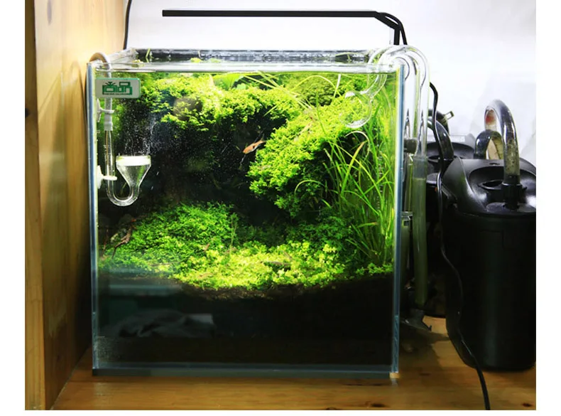 Chihiros série C ADA Style pla - Aquarium Marine Lights avis et prix