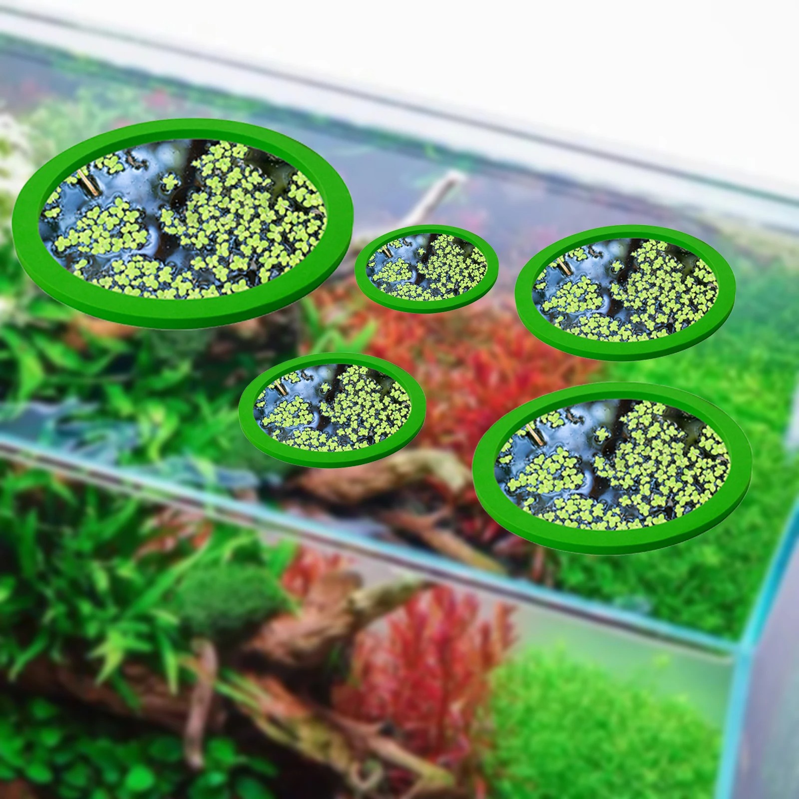 Anneaux d'Alimentation pour Aq - Ocean Aquarium avis et prix