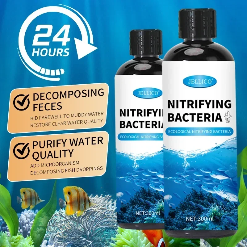 Purificateur d'eau pour Aquari - Ocean Aquarium avis et prix